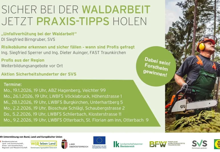 Sicher bei der Waldarbeit