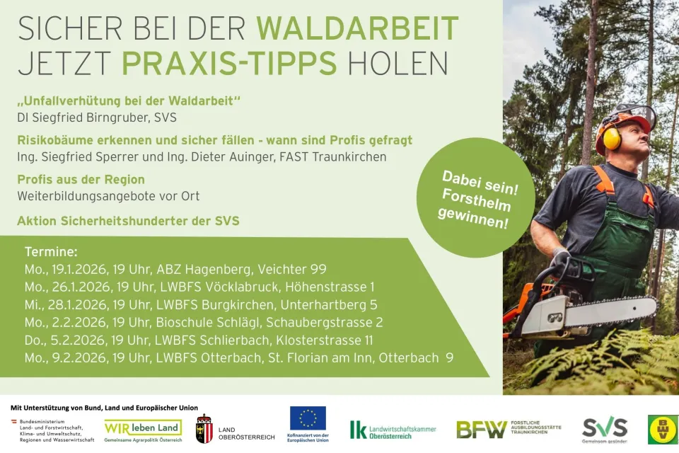 Sicher bei der Waldarbeit